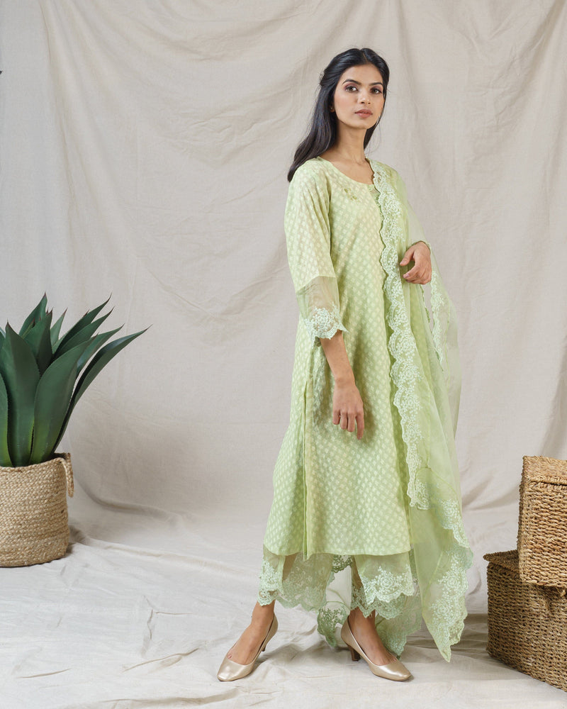 Rosa green ensemble-set of 2 ( without dupatta ) - Naaz By Noor