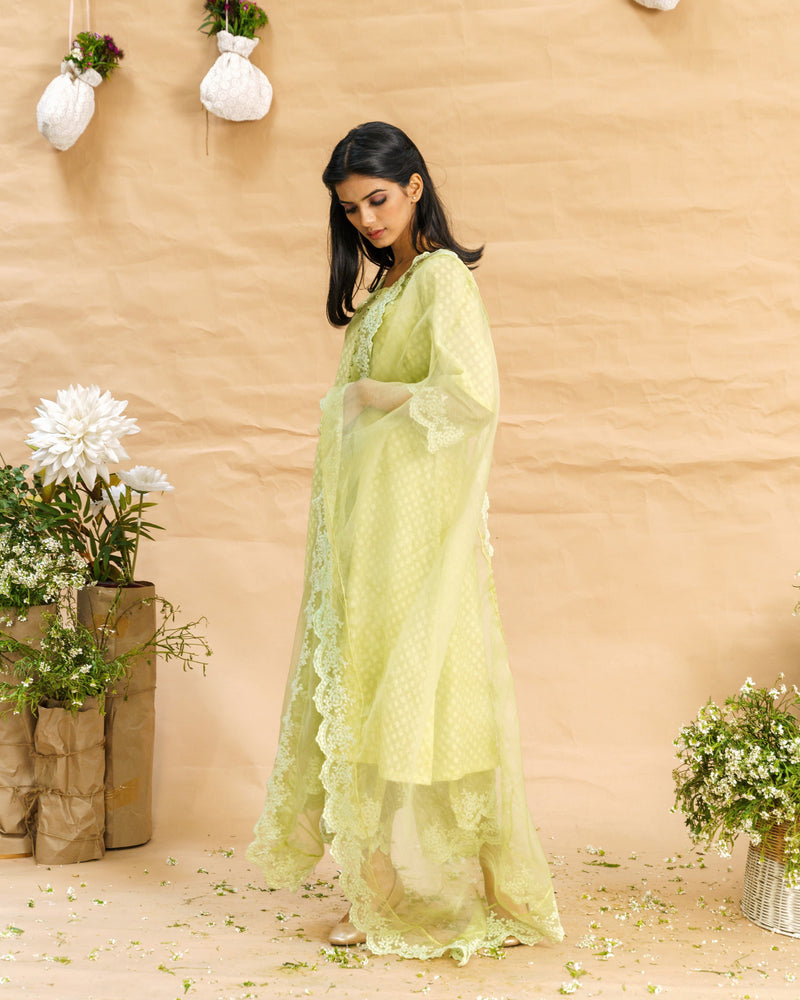 Rosa green ensemble-set of 2 ( without dupatta ) - Naaz By Noor