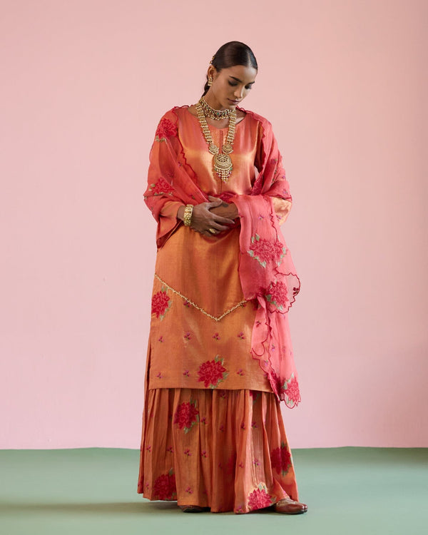 JOR BAAGH PASTEL RED-SET OF 3( kurta,sharara & dupatta) Naaz By Noor 