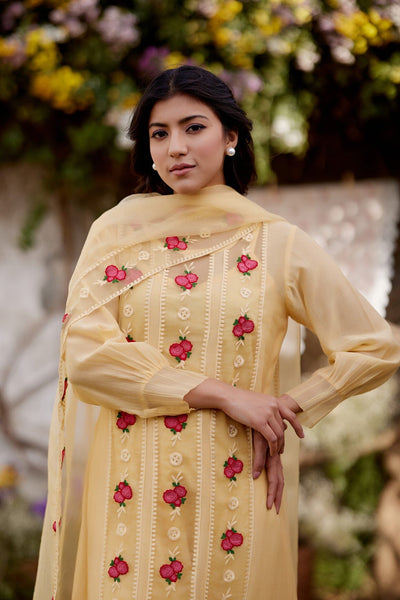 LEMON MERINGUE fields- set of 3 ( kurta, pant & dupatta) Naaz By Noor 