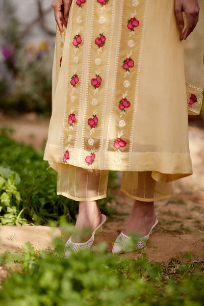 LEMON MERINGUE fields- set of 3 ( kurta, pant & dupatta) Naaz By Noor 