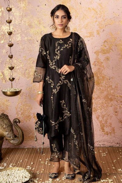 Black Straight KurtaSet With Organza Dupatta - Naaz By Noor