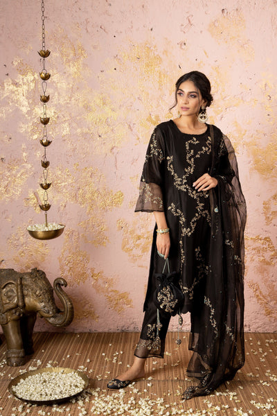 Black Straight KurtaSet With Organza Dupatta - Naaz By Noor