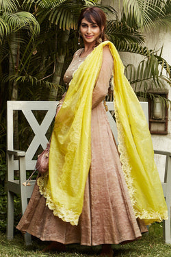 Brown Anarkali - Naaz By Noor