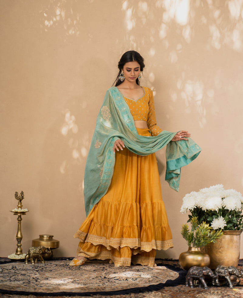 KISHMISH( meetha sheera)-set of 3-blouse, sharara & dupatta Naaz By Noor 