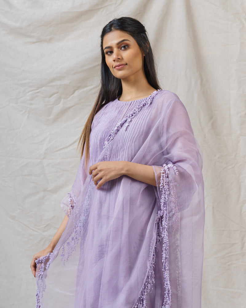 Lilac Nile ensemble-set of 3 - Naaz By Noor