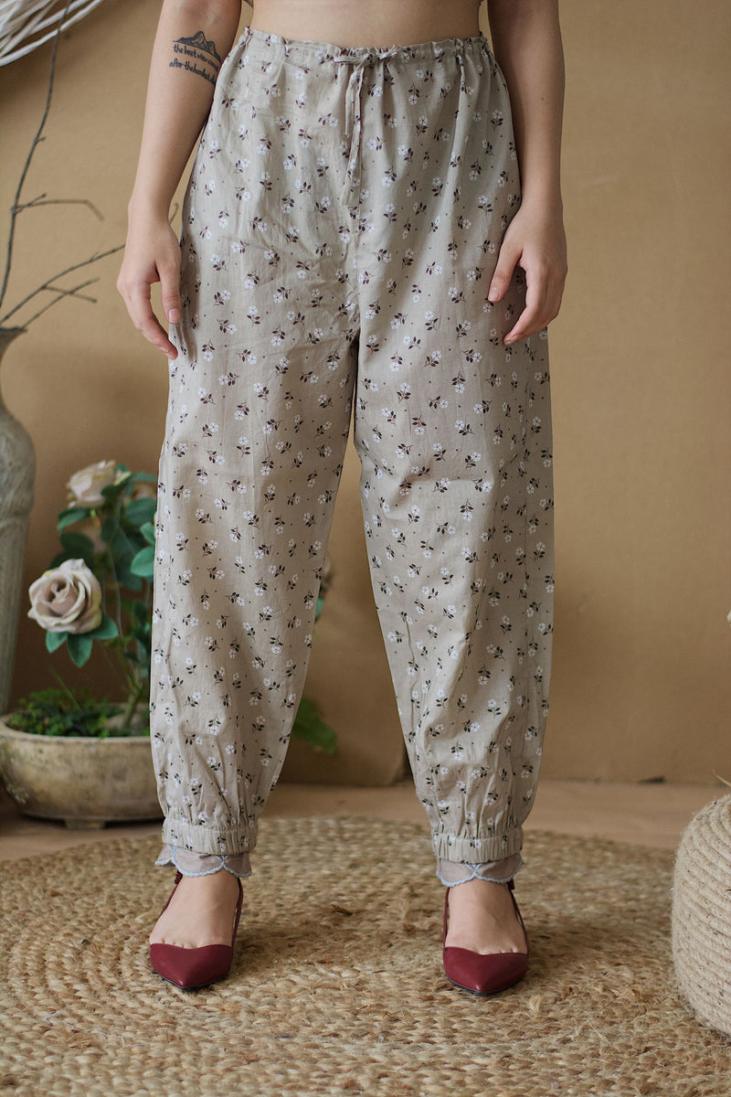CAPPUCCINO PRINTED HAREM PANTS - Naaz By Noor