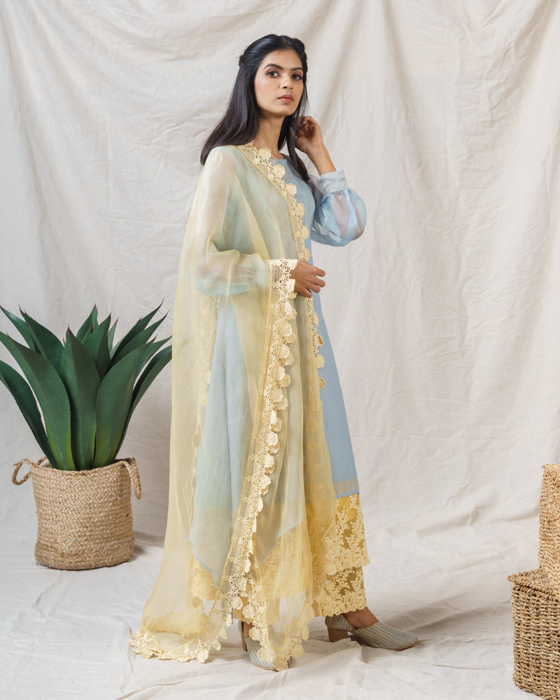 FROST BLUE AND YELLOW IRIS ENSEMBLE - Naaz By Noor