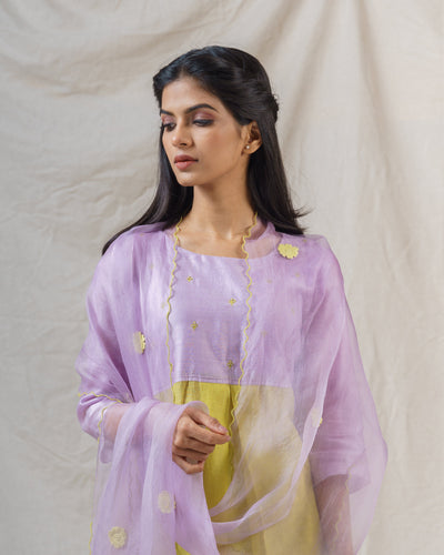 LIME GREEN AND LILAC NILE ENSEMBLE - Naaz By Noor
