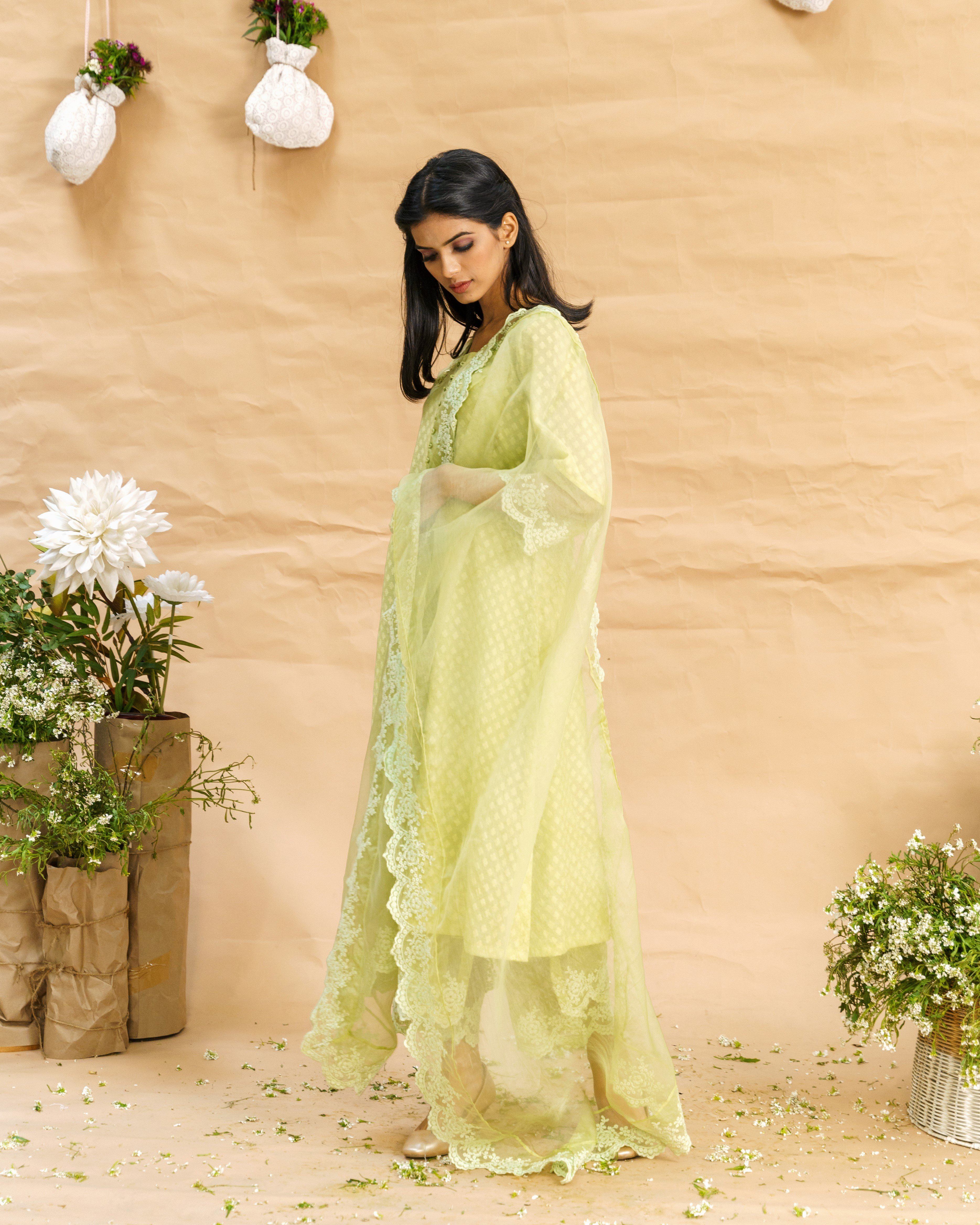 Rosa green ensemble-set of 2 ( without dupatta ) - Naaz By Noor
