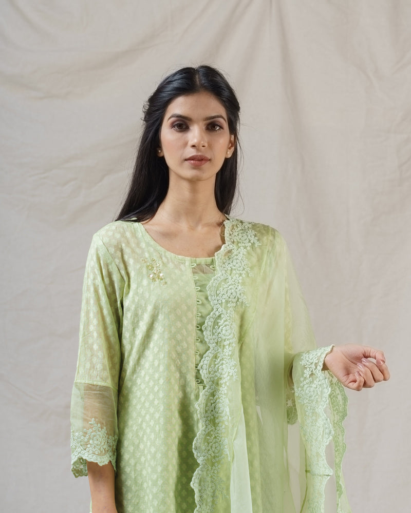 Rosa green ensemble-set of 3 - Naaz By Noor