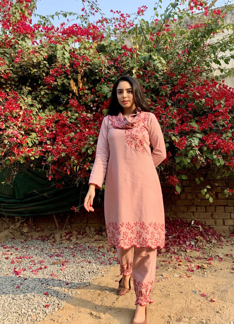subah- blush pink Naaz By Noor 