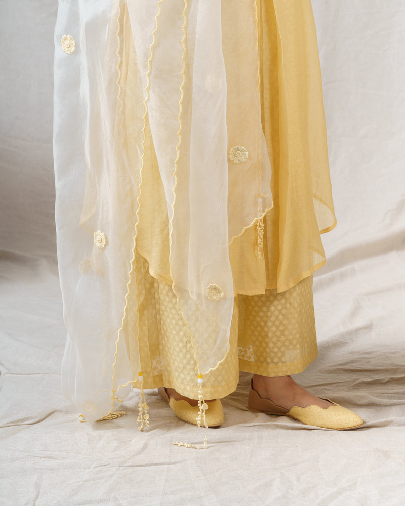 Yellow iris and  pearl white ensemble ( with dupatta ) - Naaz By Noor